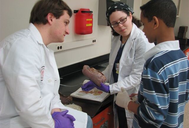 Humanism in Medicine